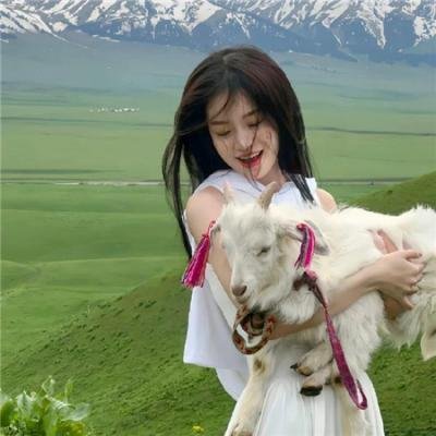 金刚战士 封面