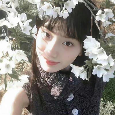 笑八仙 封面